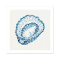 Blue oyster print on a white background