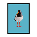Framed oystercatcher bird art print on a blue background