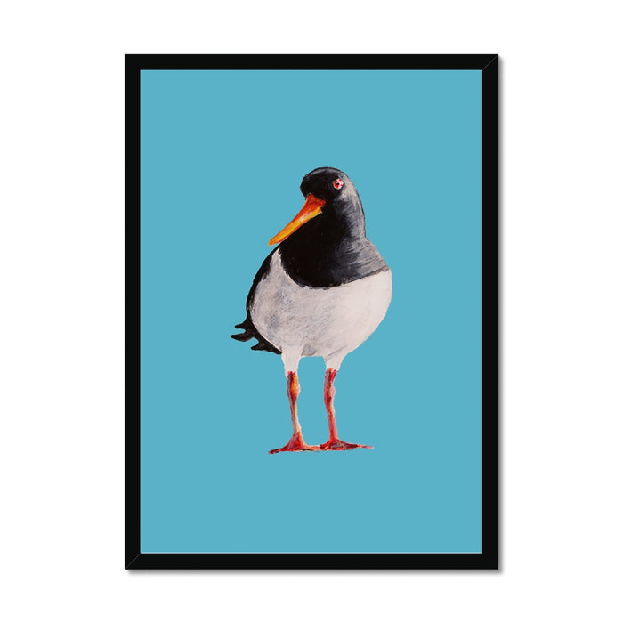 Framed oystercatcher bird art print on a blue background