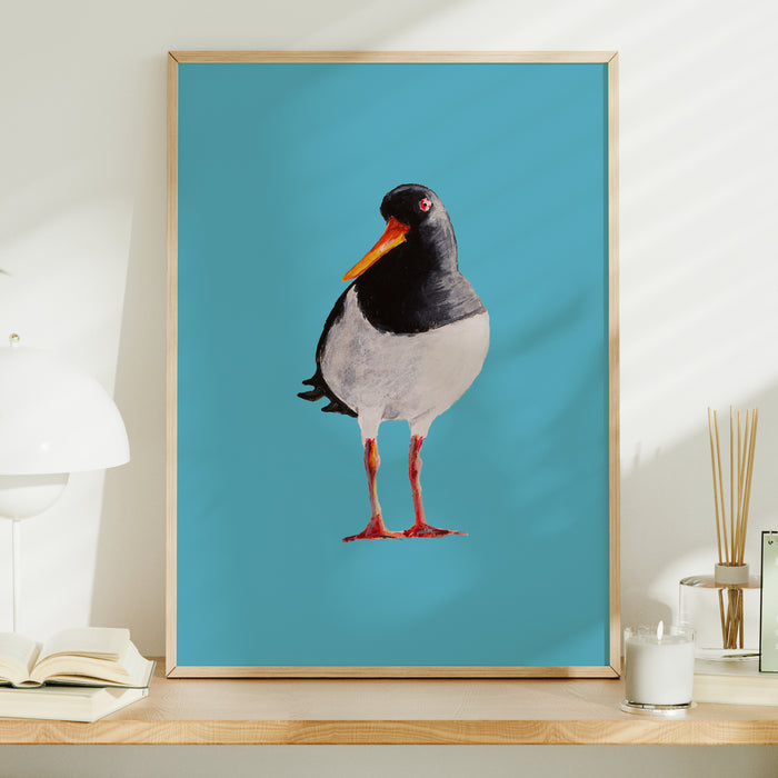 Framed oystercatcher bird art print on a blue background