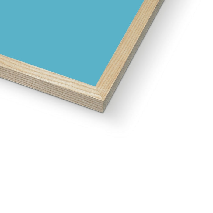 Detail of framed seagull print