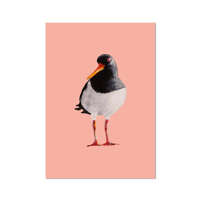 Bird illustration on a pink background - Oystercatcher painting