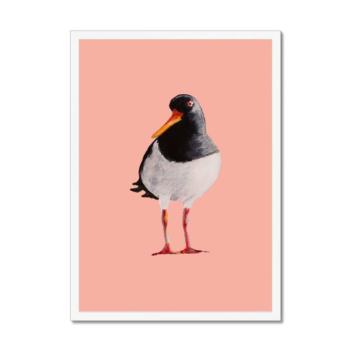 Oystercatcher art print painted in watercolour, featuring a black and white coastal bird with an orange beak on a soft coral pink background, framed in white.