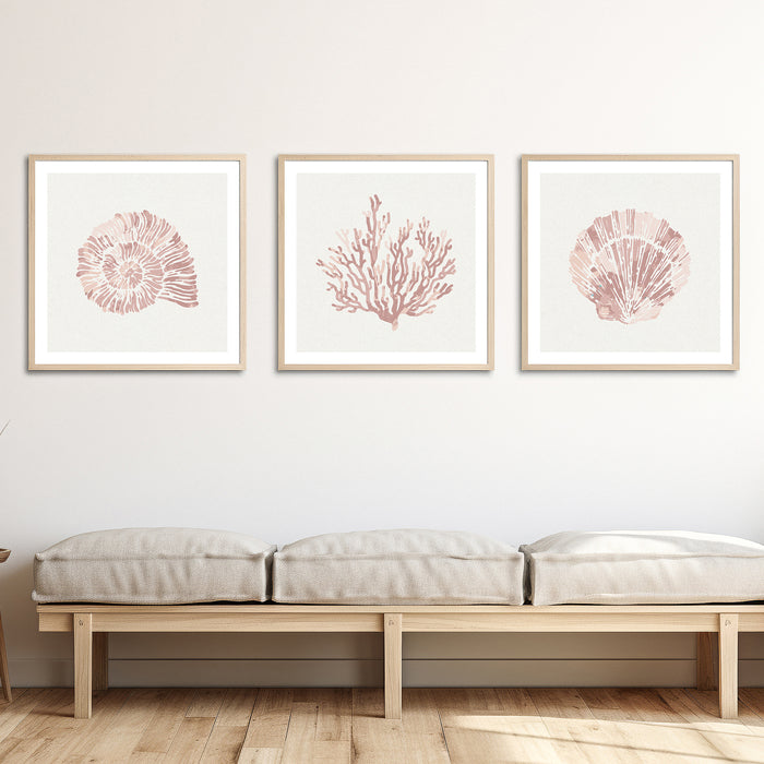 set of three scallop and shell art prints in pink colours on wall above bench