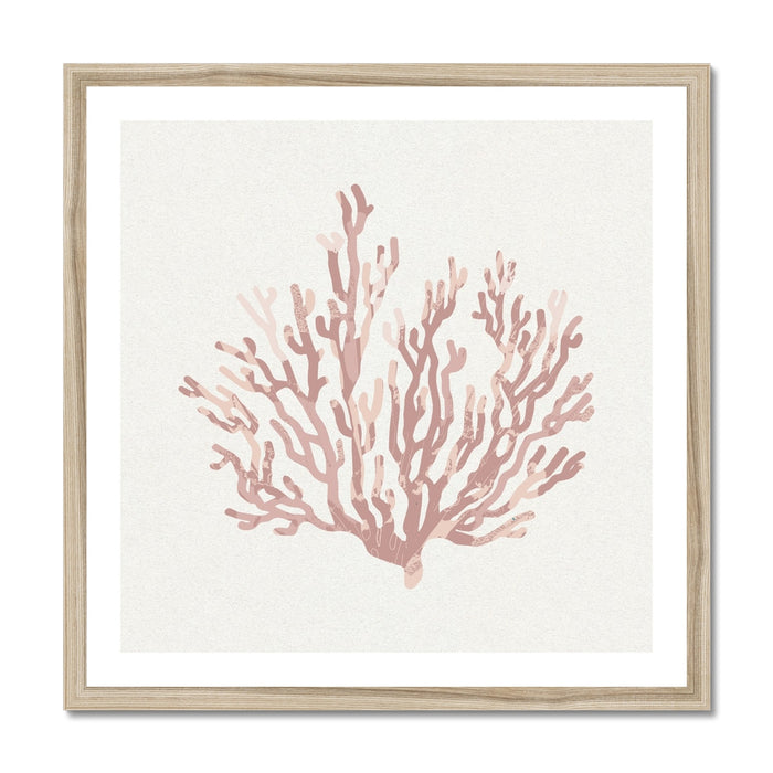Coral art print - A framed art print featuring a dusty pink coral shell on a beige background.