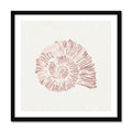 Pink Spiral Shell Art Print | Shell Wall Art - Framed