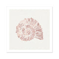 A framed art print of a dusty pink spiral shell on a white background.