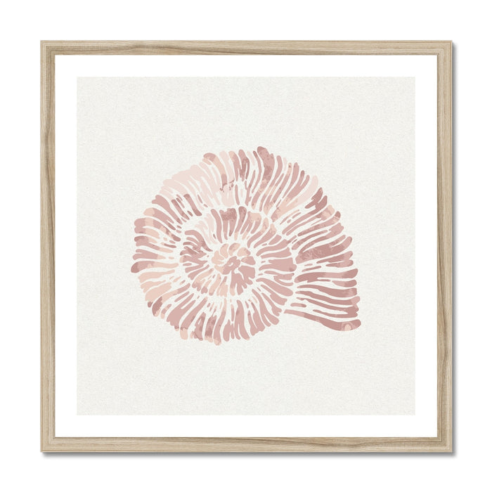 Pink Spiral Shell Art Print | Shell Wall Art - Unframed