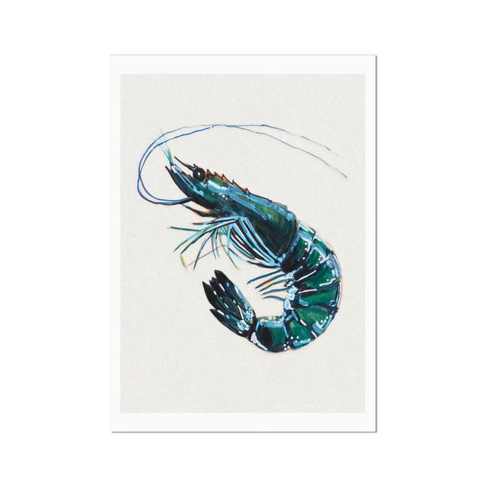 Prawn art print - A framed print of a watercolour painting depicting a single prawn.