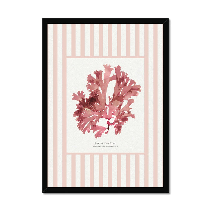 Framed artwork of pink seaweed on a striped background