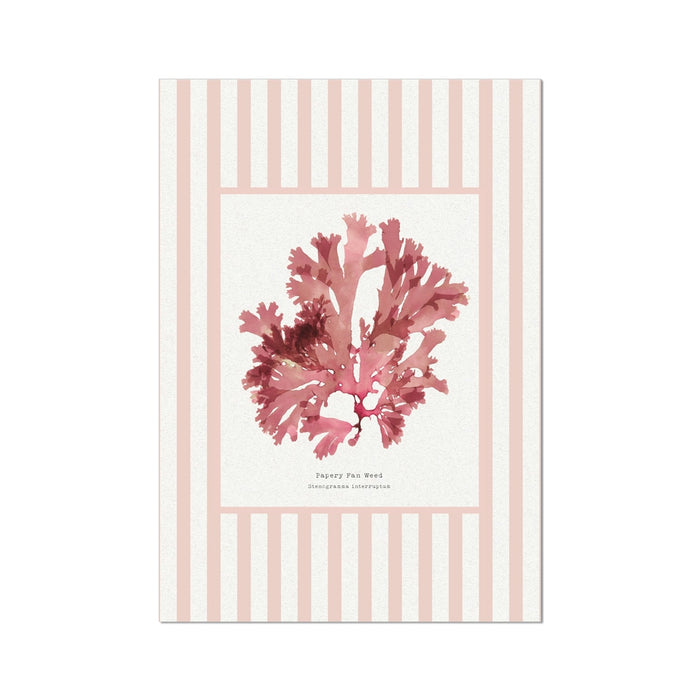 Artwork of pressed seaweed on a striped background