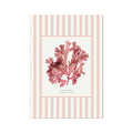 Artwork of pressed seaweed on a striped background