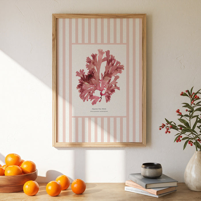 Framed pressed seaweed print on wall in kitchen. Seaweed print with striped background.
