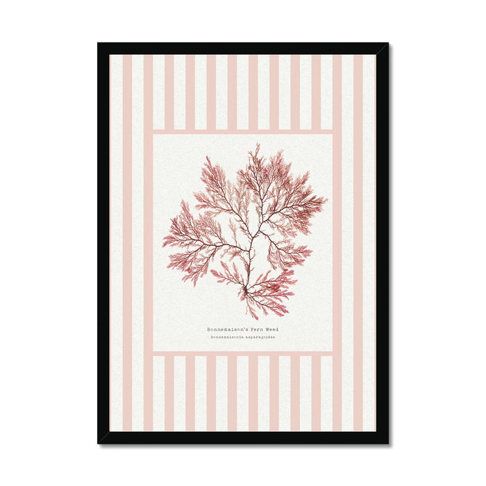 Framed pressed seaweed print on striped background with striped background.