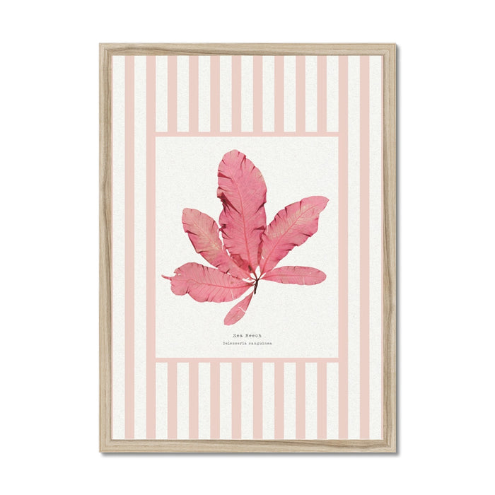 Framed artwork with a pressed seaweed print design on a white background