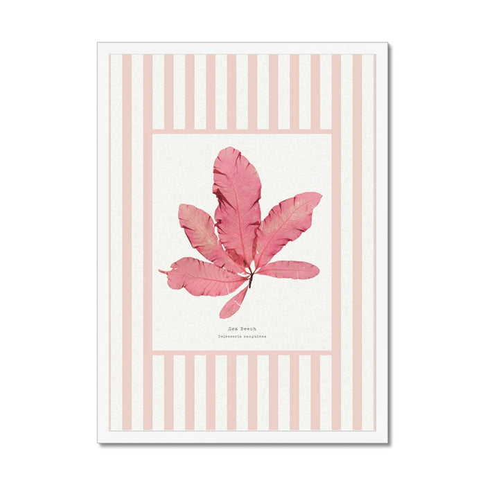 Framed artwork with a pink seaweed art design on a striped background