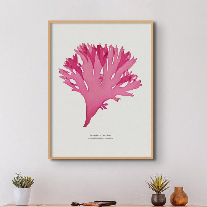 Pressed Seaweed Art Print | Beautiful Fan Weed No. 3 - Unframed