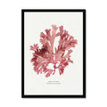 15x20cm (6x8") / Black Frame