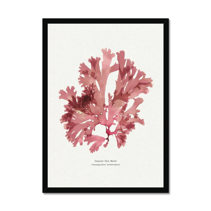 15x20cm (6x8") / Black Frame