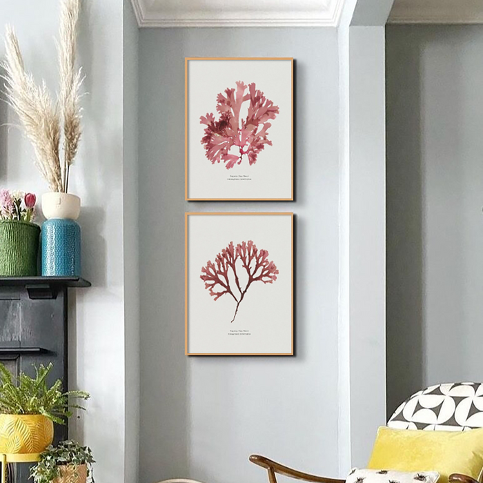 Pressed Seaweed Art Print | Fan Weed No. 2 | Botanical Wall Art - Framed