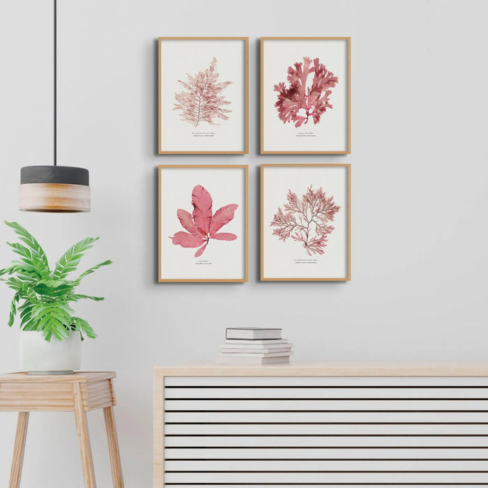 Seaweed Print Wall Art (Sea Beech) - Framed - Beach House Art