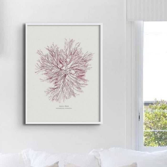 A framed wall art print of hand-pressed red seaweed, with a predominantly red branching pattern against a white background, on white wall in bedroom.