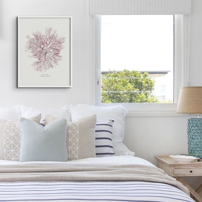 Pressed Seaweed Print Wall Art of Siphon Weed framed above bed in coastal bedroom.