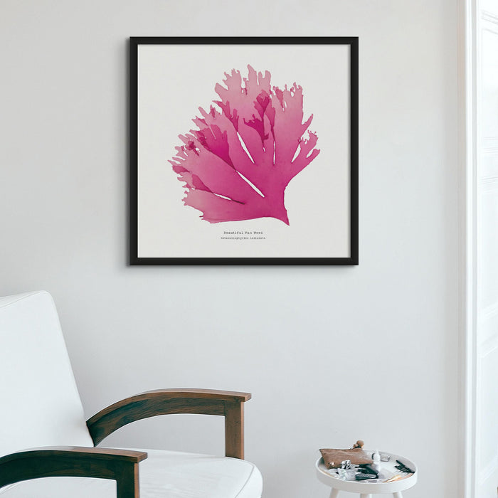 Pressed Seaweed Art Print | Square Beautiful Fan Weed No. 1 - Framed