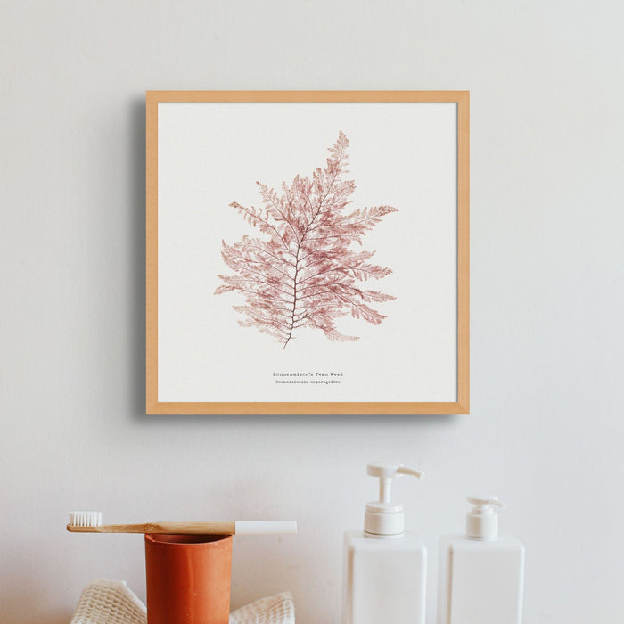 Framed square Fern Weed seaweed print in pink-red tones, hand-pressed British botanical wall art.