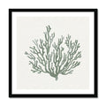 Framed coral art print on a white background with a black frame.