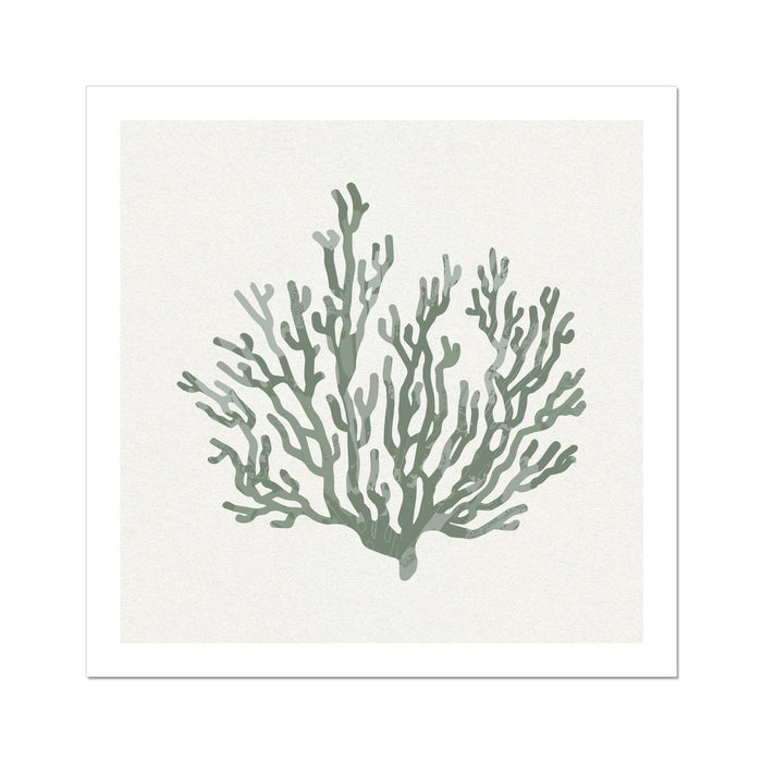 A sage green coral art print on a white background, depicting a stylised version of a coral reef.