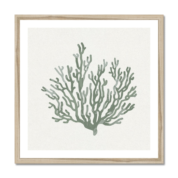 Framed coral art print on a white background with a wooden frame.