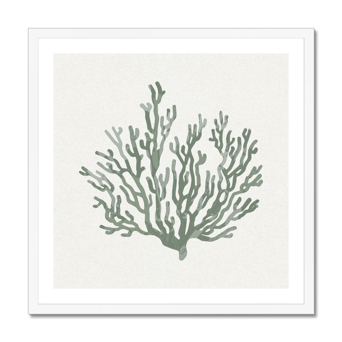 Framed coral art print on a white background with a white frame.