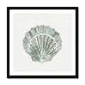 Sage green scallop shell art print in black wood frame.