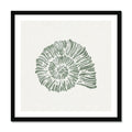 Sage green spiral shell art print in black frame on white background
