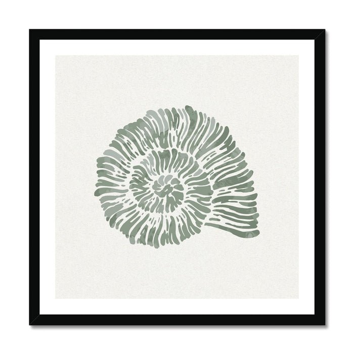 Sage green spiral shell art print in black frame on white background