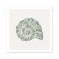 A shell art print in sage green on a white background, with a border.