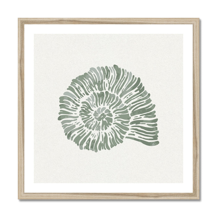 Sage green spiral shell art print in natural wood frame on white background.