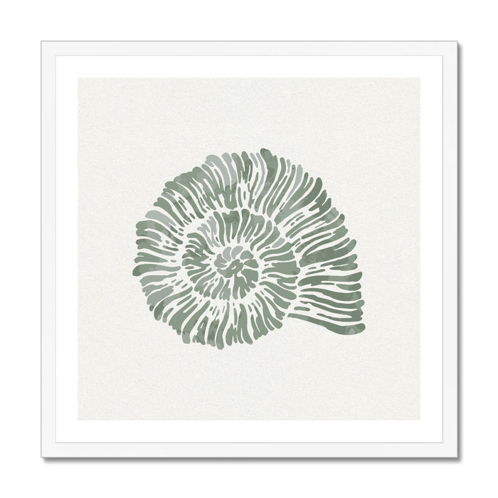 Sage green spiral shell art print in white frame on white background