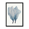 Sea Fan Watercolour Coral Painting | Coral Art | No 1 - Framed