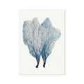 Sea Fan Watercolour Coral Painting | Coral Art | No 1 - Unframed