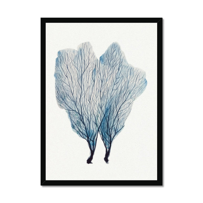 Sea Fan Watercolour Coral Painting | Coral Art | No 1 - Unframed