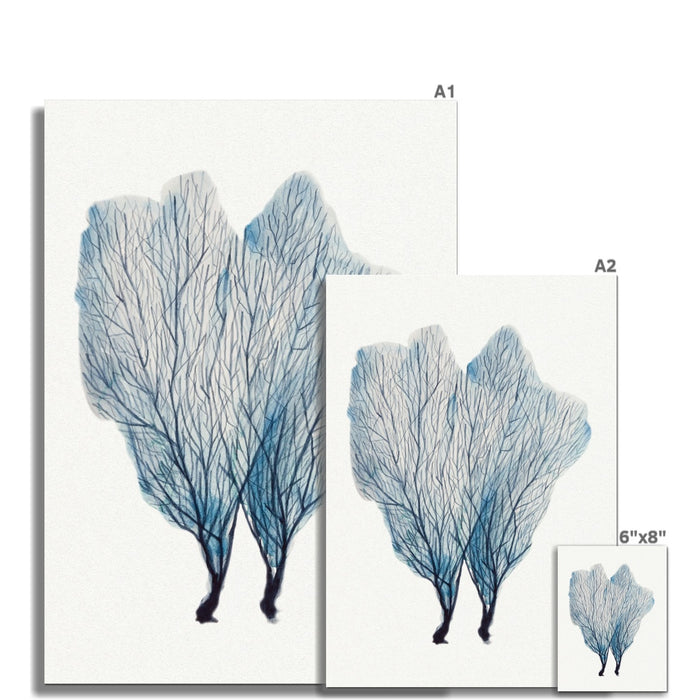 Sea Fan Watercolour Coral Painting | Coral Art | No 1 - Unframed