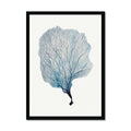 Painting of coral framed with a black frame.