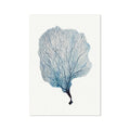 A watercolor painting of a blue sea fan coral.