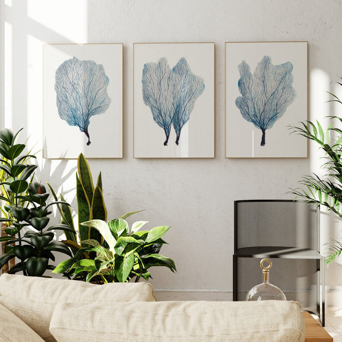 A set of three framed coral art prints displayed on a wall, with a variety of indoor plants in the foreground.