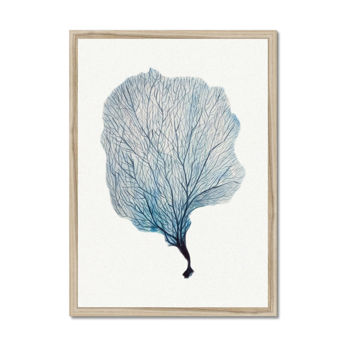 A framed watercolour painting of a blue sea fan coral, with a simple white border and no visible matting.