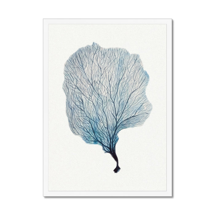 Framed artwork of a blue coral art print on a wall.