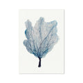 A framed watercolour painting of a blue sea fan coral.