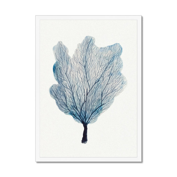 Framed artwork of a fan coral art print on a wall.